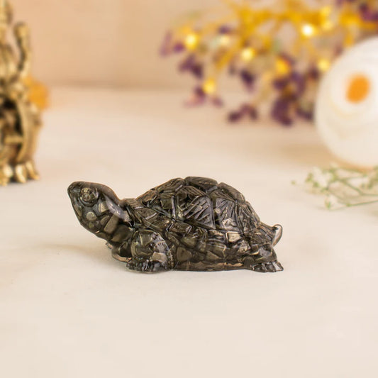 Pyrite Tortoise