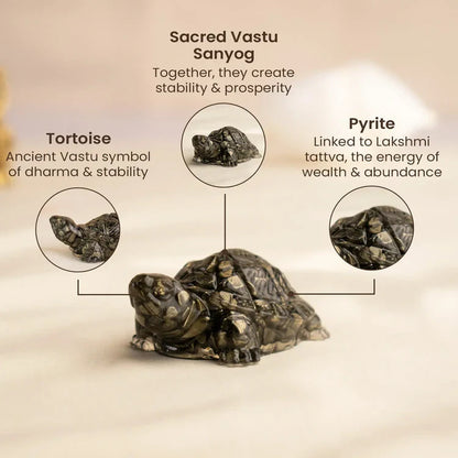 Pyrite Tortoise with Free Raw Selenite Plate