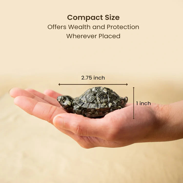 Pyrite Tortoise with Free Raw Selenite Plate