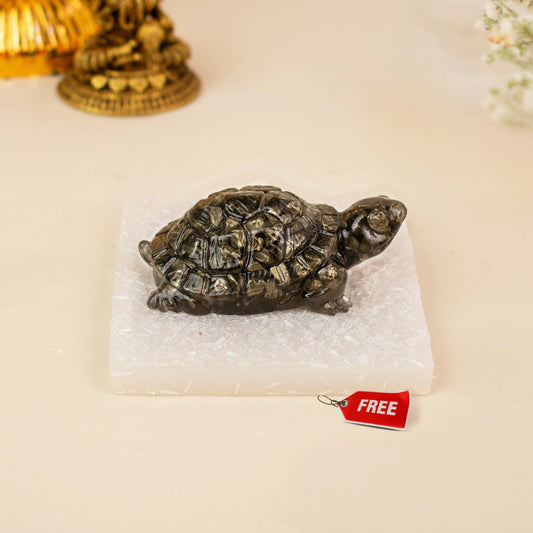 Pyrite Tortoise with Free Raw Selenite Plate