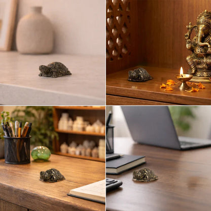 Pyrite Tortoise with Free Raw Selenite Plate