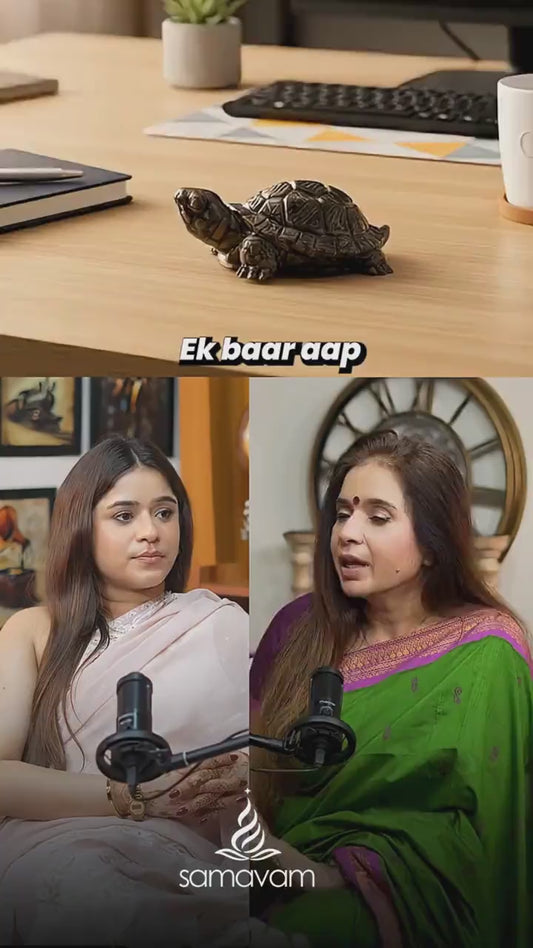 Pyrite Tortoise with Free Raw Selenite Plate